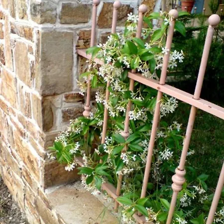 Stella Appartamento *